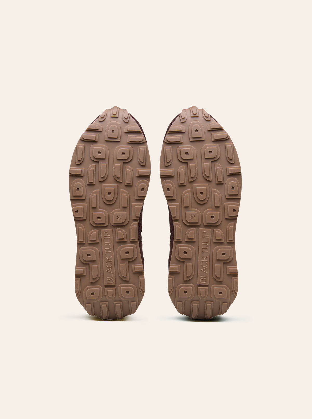 Black Tulip Arbi Sleek Sneaker in Cocoa Brown β women's leather trainers, styled on-foot
