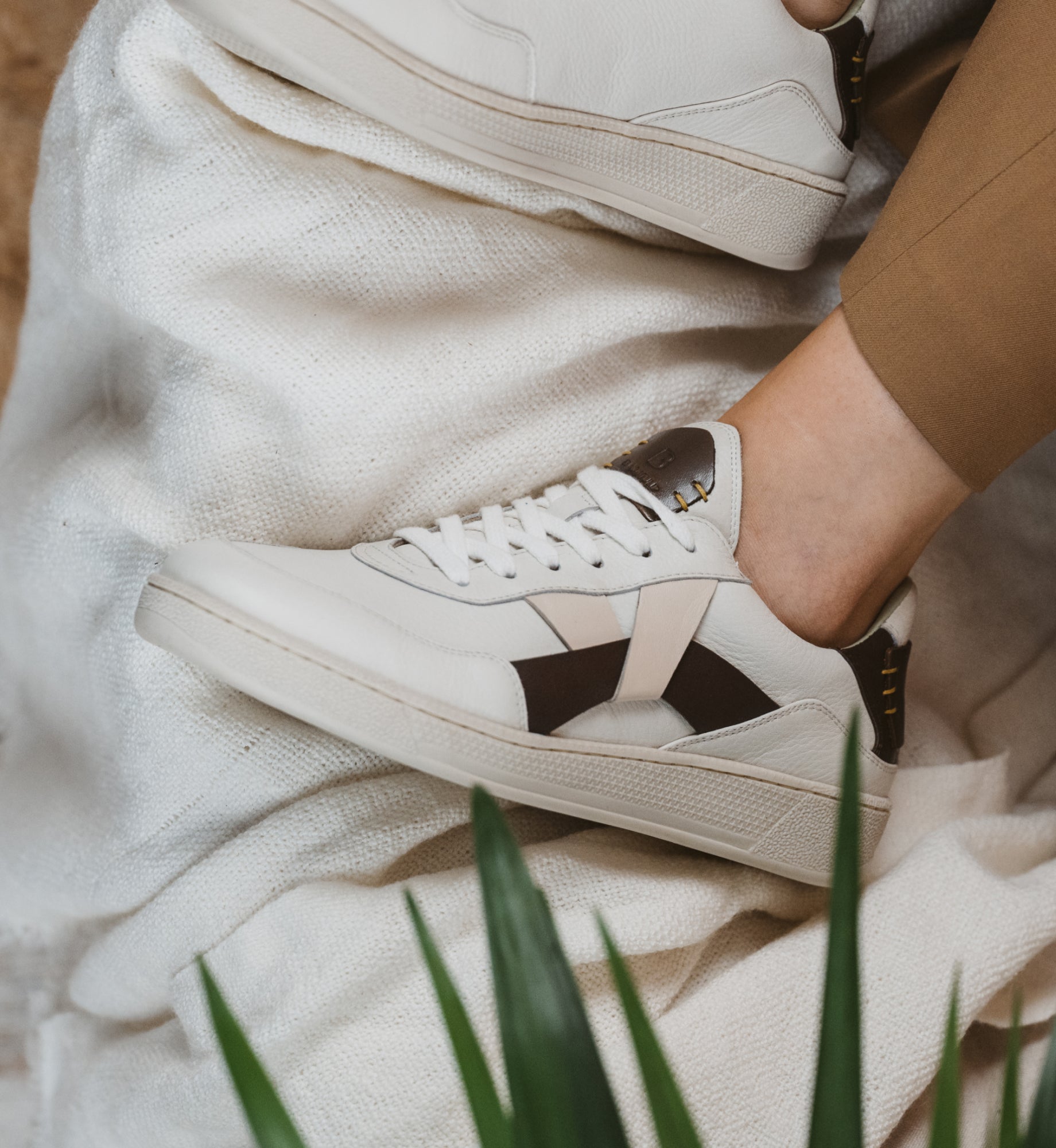 Black Tulip + Morale Boost Collaboration: Where Positivity Meets Sustainability