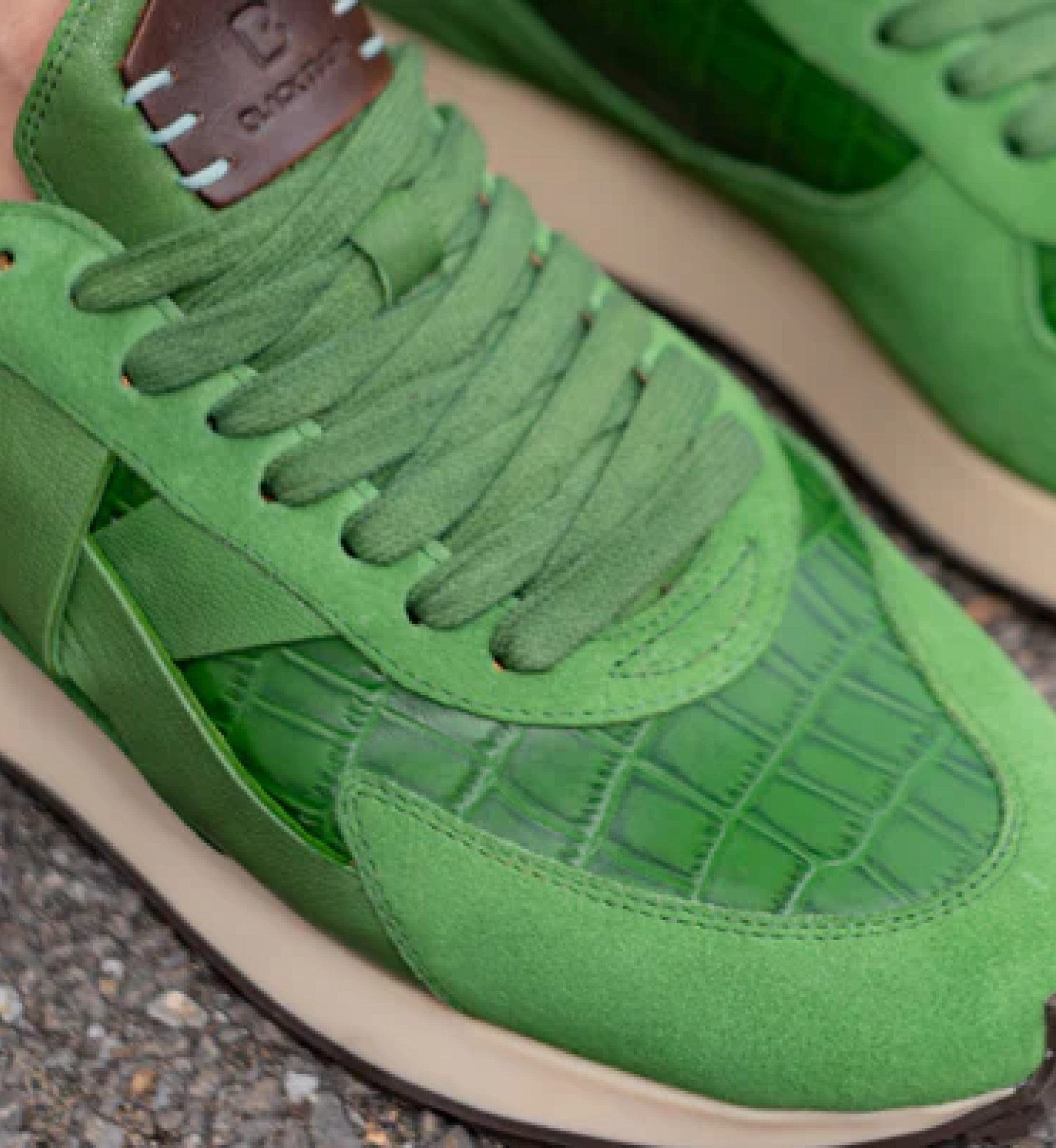 Introducing The New Black Tulip Colour Drop: Magnificent Greens