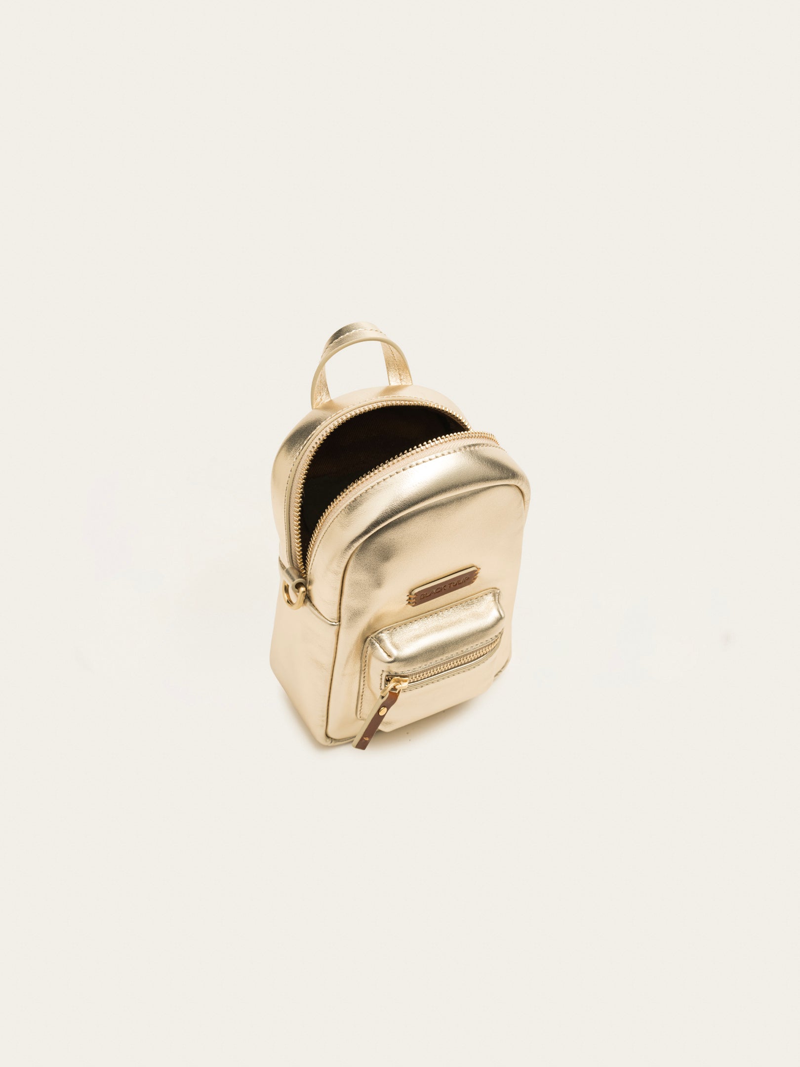 Sierra Mini Backpack - Gold – Black Tulip